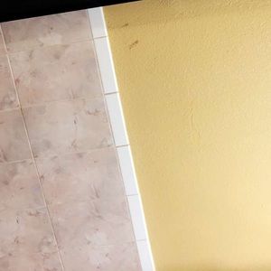 Meet your Posher, Genesis